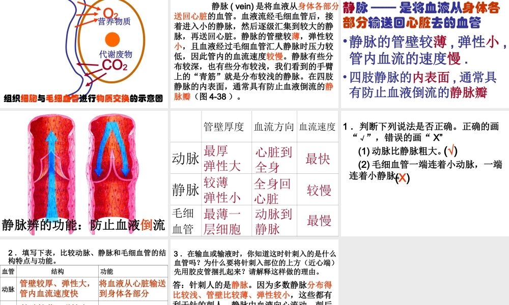 第二节__血流的管道---血管(2012版).ppt