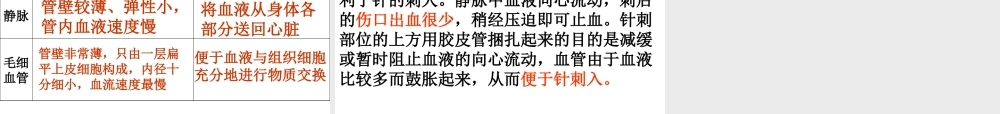 第二节__血流的管道---血管(2012版).ppt