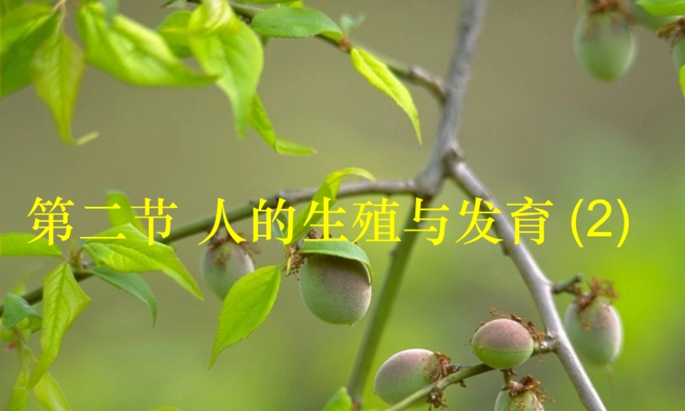 第二节_人的生殖和发育2.ppt