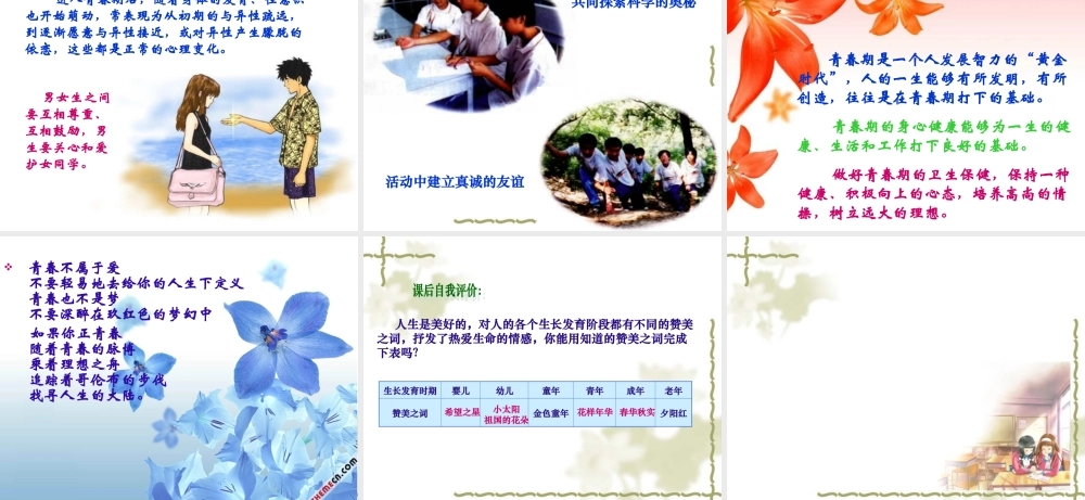 第二节_人的生殖和发育2.ppt