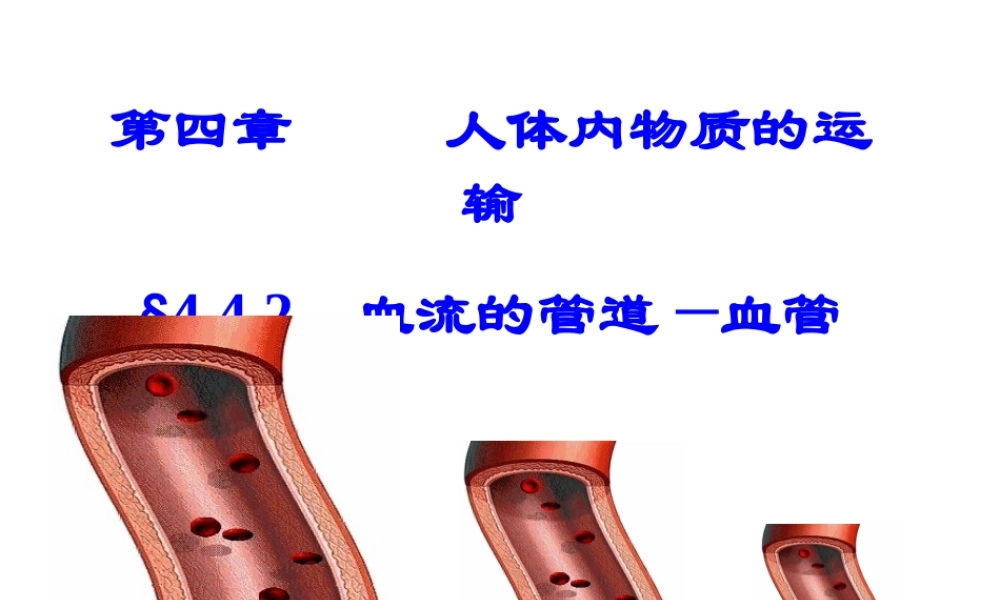 第二节_血流的管道—血管(新人教版).ppt