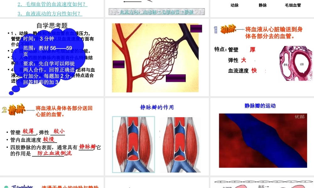 第二节_血流的管道—血管(新人教版).ppt