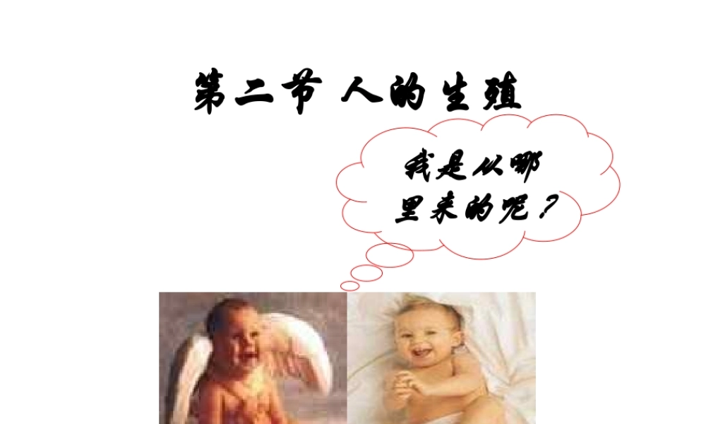 第二节_人的生殖.ppt
