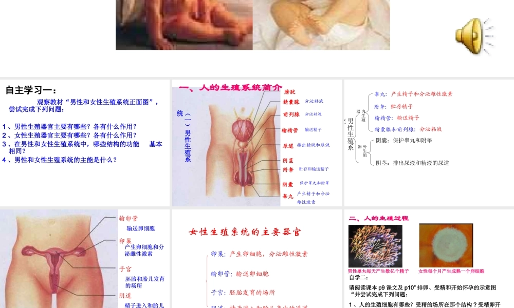 第二节_人的生殖.ppt