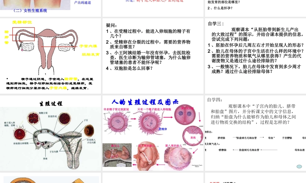 第二节_人的生殖.ppt