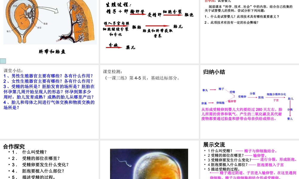 第二节_人的生殖.ppt