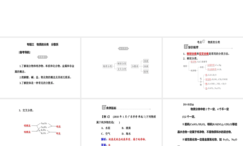 第二章专题三考点1物质的分类.ppt