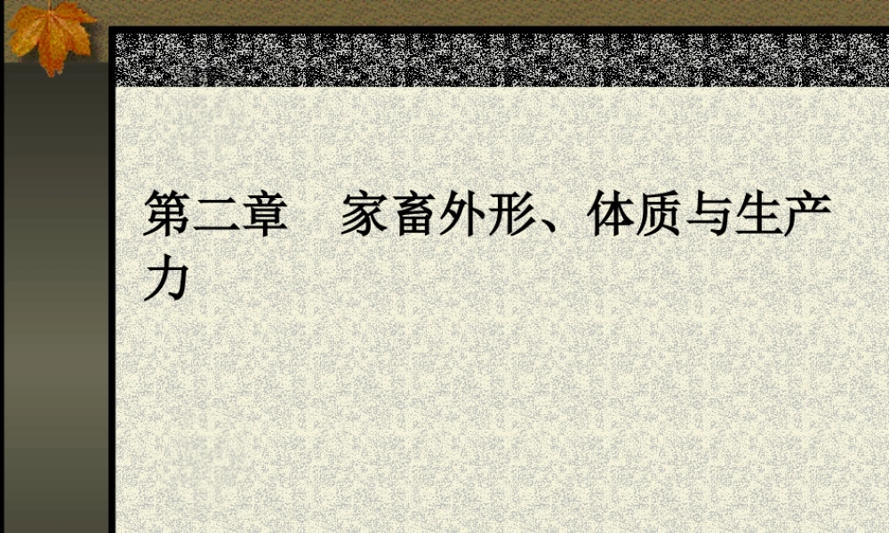 第二章 家畜外形体质与生产力.ppt