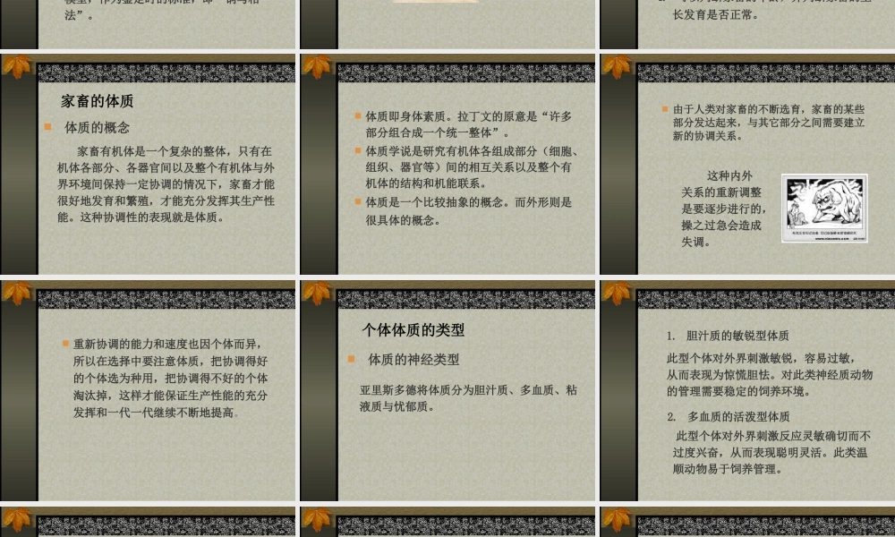 第二章 家畜外形体质与生产力.ppt