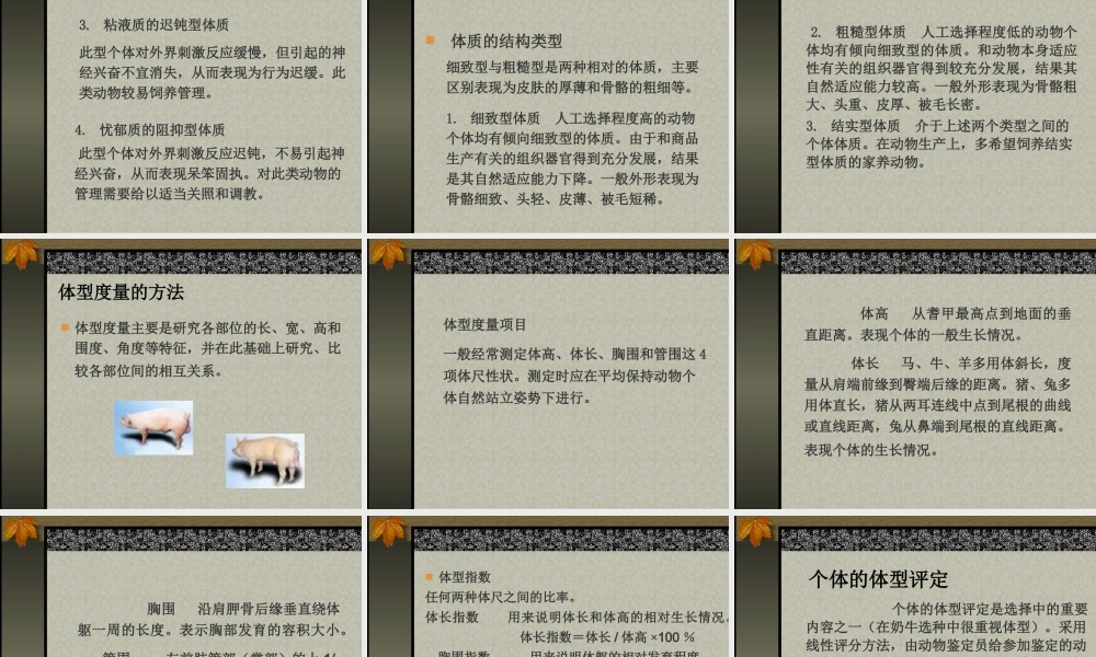 第二章 家畜外形体质与生产力.ppt