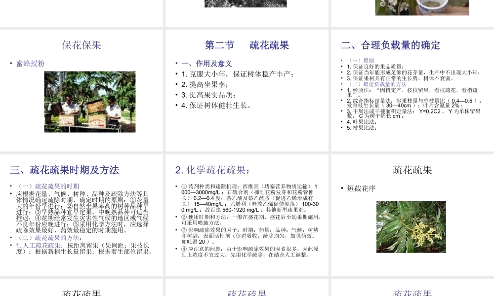 第六章 果树花果管理.ppt
