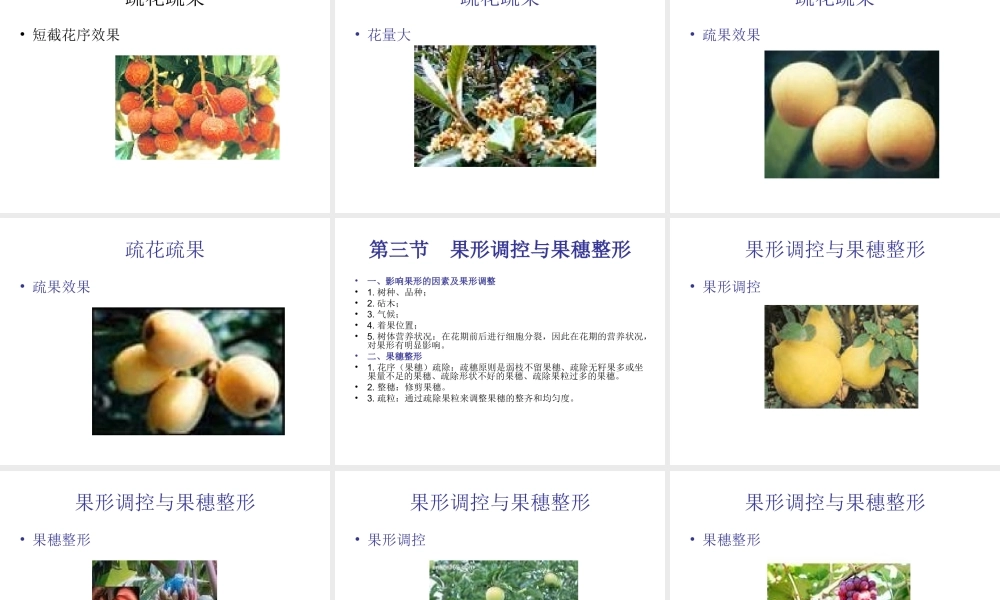 第六章 果树花果管理.ppt