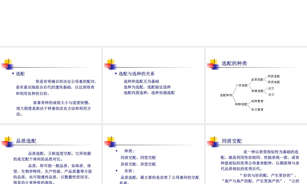第六章个体选配.ppt
