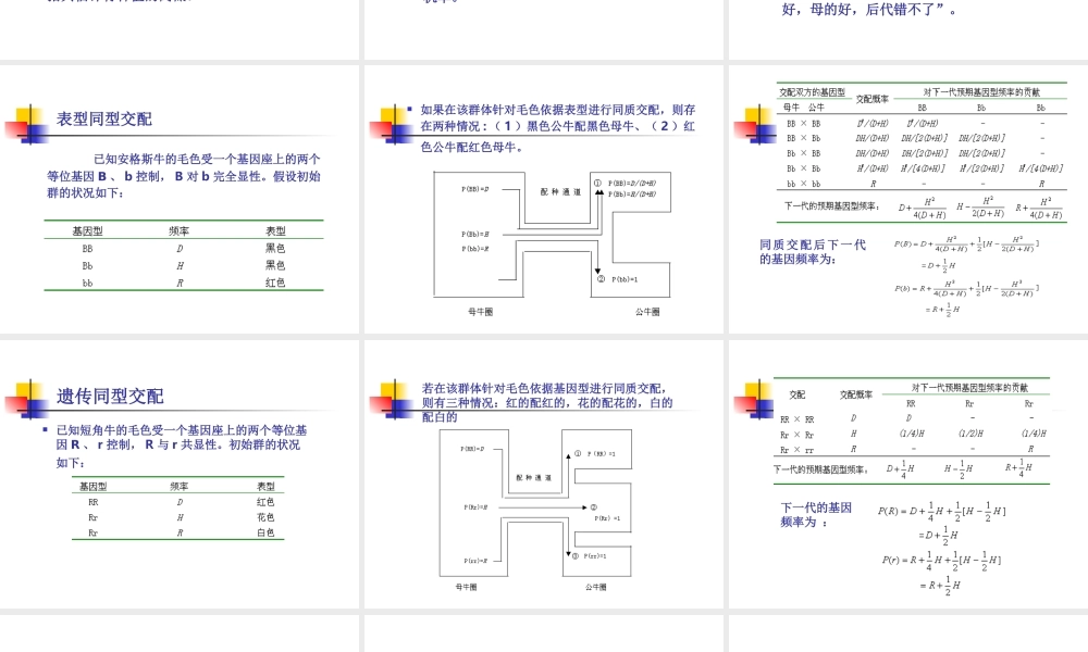 第六章个体选配.ppt