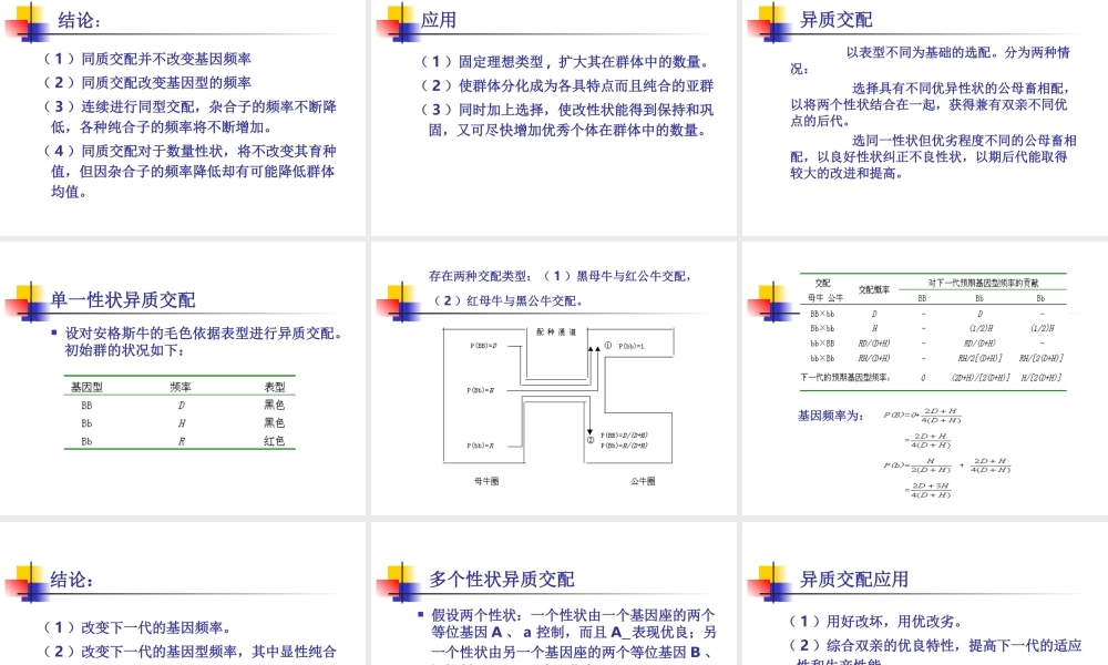 第六章个体选配.ppt