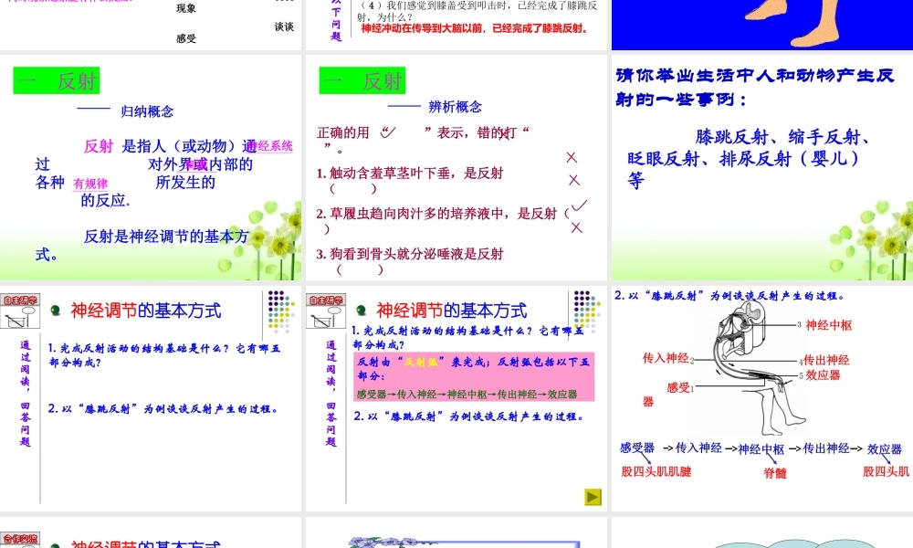 第六章_人体生命活动的调节_第三节_神经调节的基本方式1.ppt