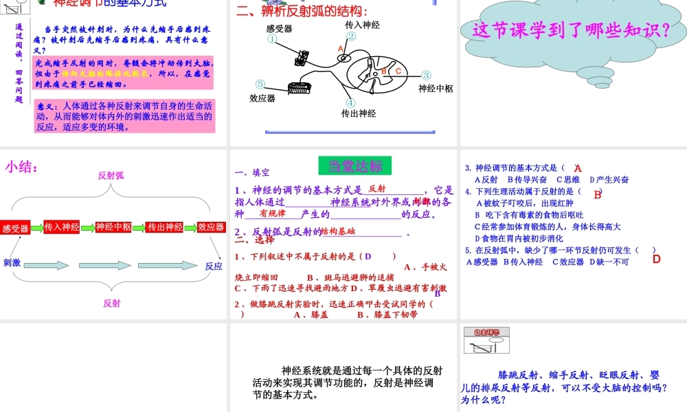 第六章_人体生命活动的调节_第三节_神经调节的基本方式1.ppt
