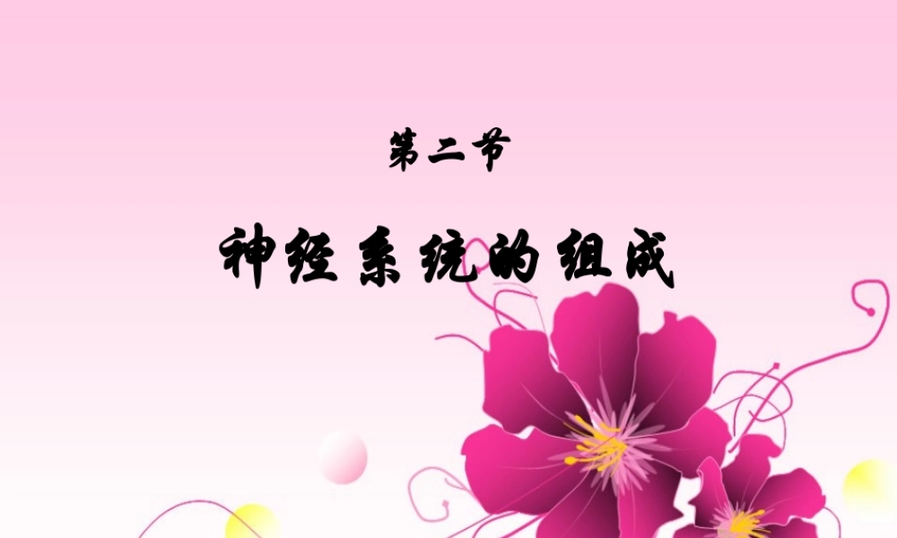 第六章第2节_神经系统的组成.ppt