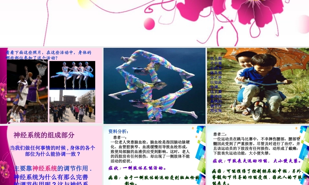 第六章第2节_神经系统的组成.ppt