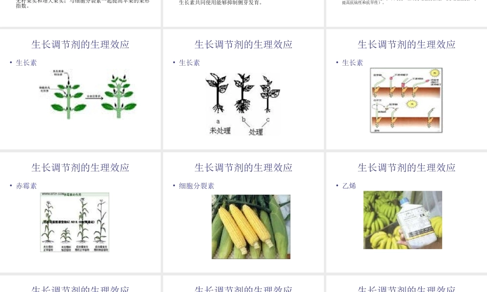第七章生长调节剂应用.ppt