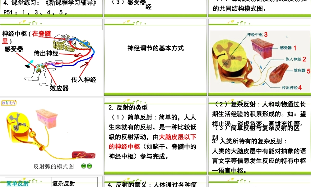 第三节_神经调节的基本方式.ppt