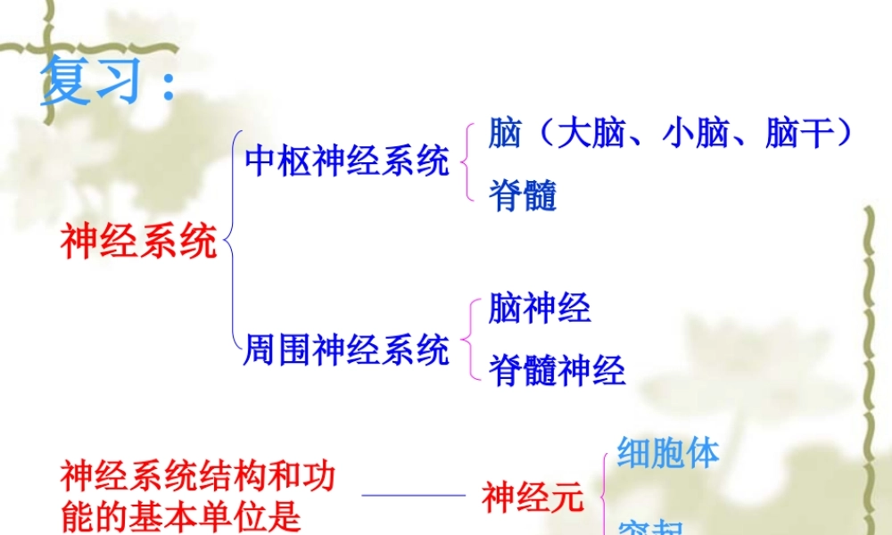 第三节神经调节的基本方式.ppt