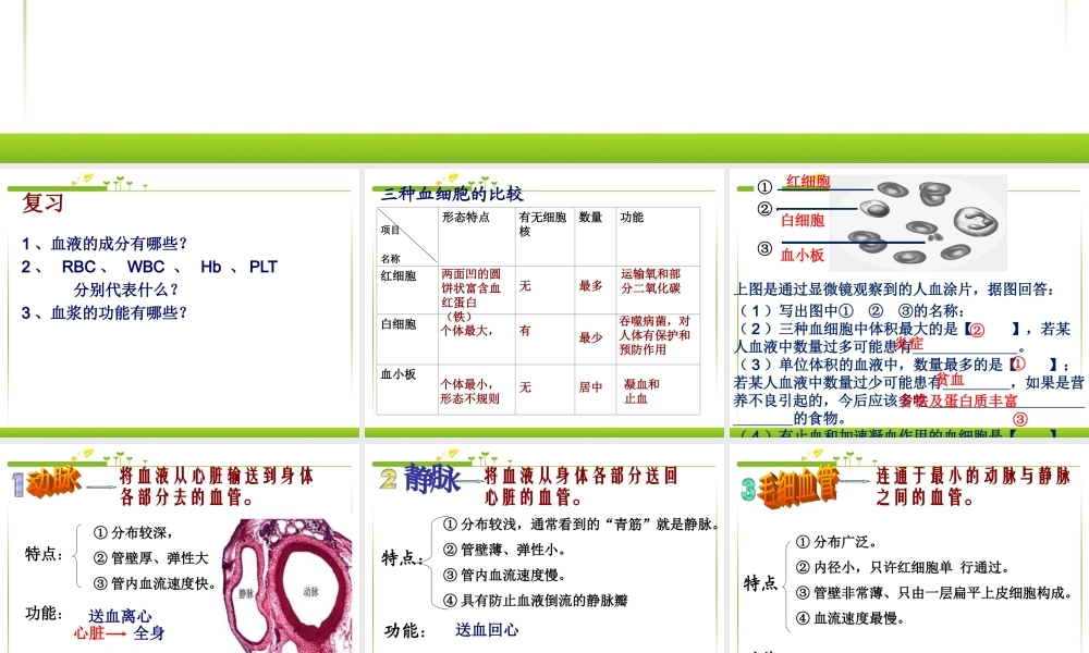 第三节_输送血液的泵-心脏.ppt