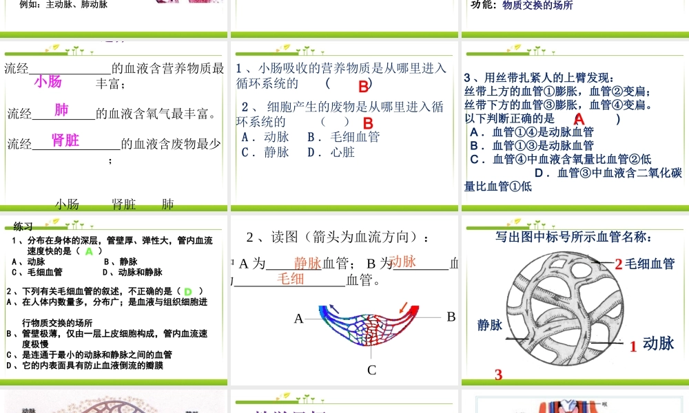 第三节_输送血液的泵-心脏.ppt