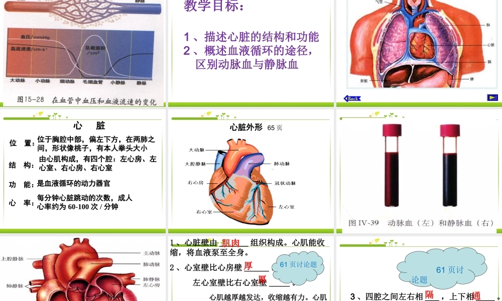 第三节_输送血液的泵-心脏.ppt