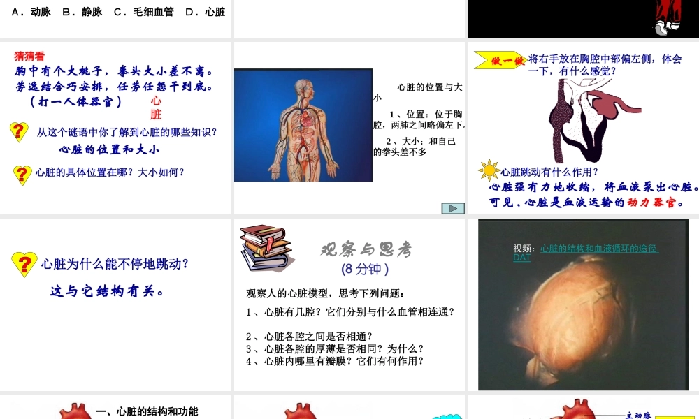第三节_输送血液的泵——心脏1.ppt