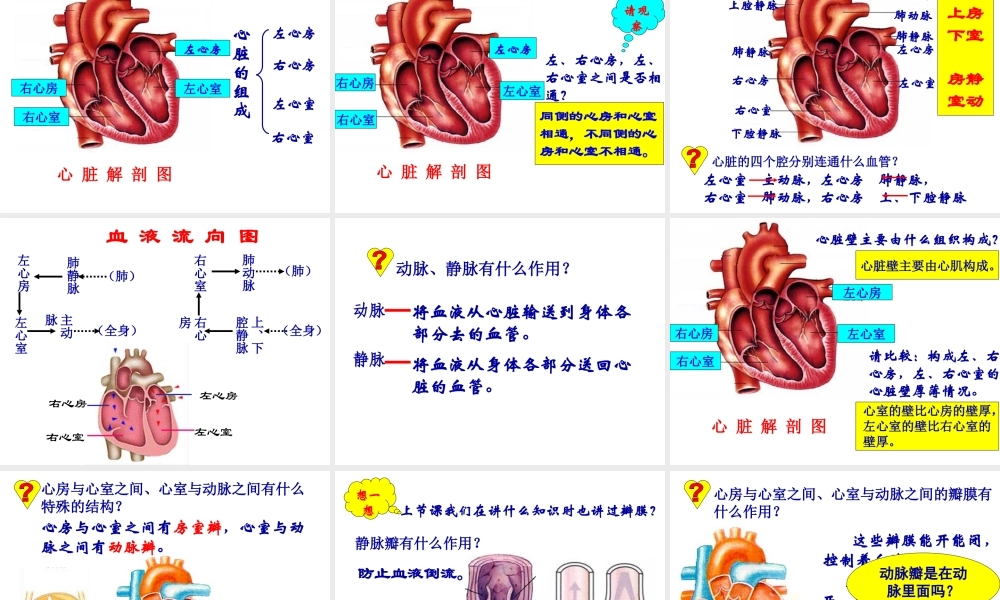 第三节_输送血液的泵——心脏1.ppt
