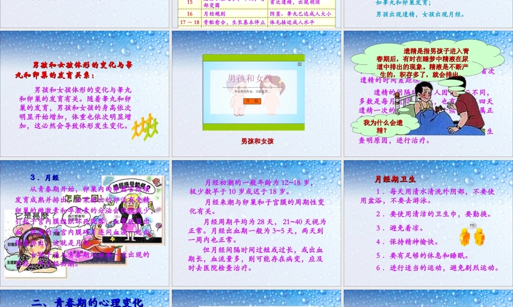 第三节青春期.ppt