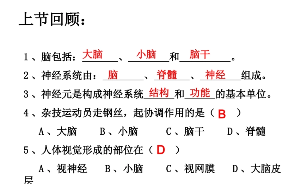第三节神经调节的基本方式-.ppt