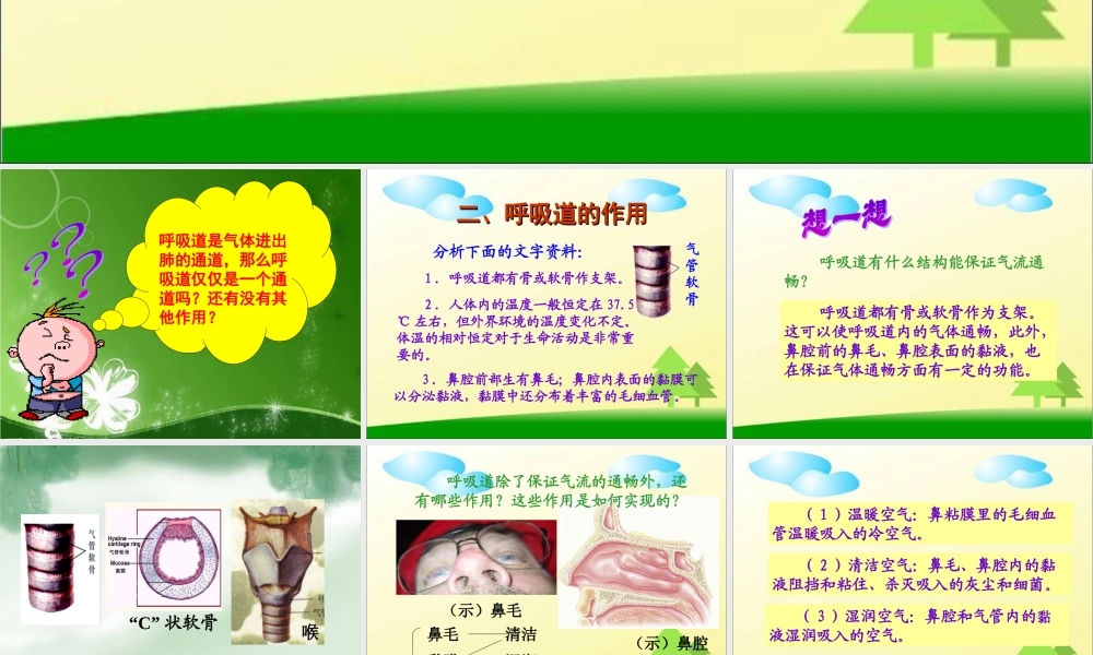 第三章人体的呼吸_第一节呼吸道对空气的处理.ppt