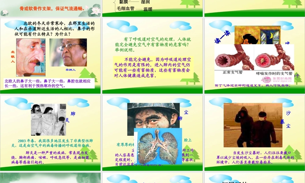 第三章人体的呼吸_第一节呼吸道对空气的处理.ppt