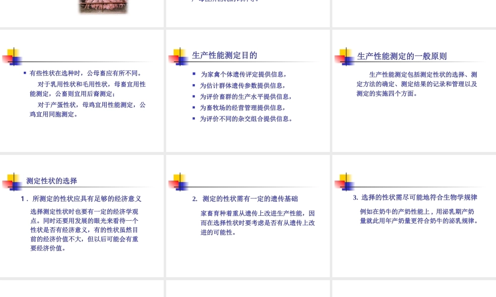 第三章生产性能测定.ppt