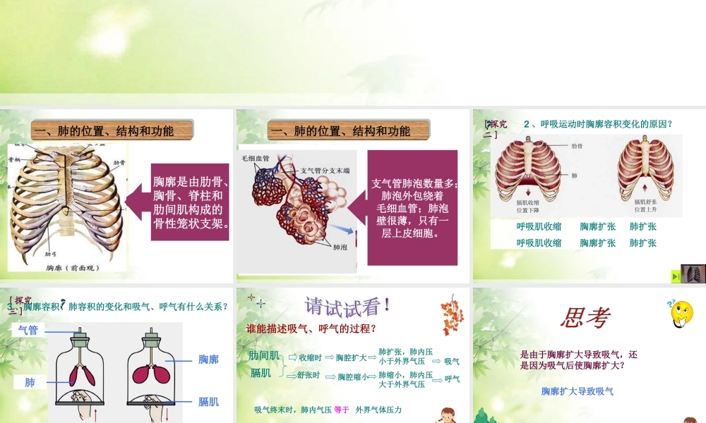 第三章__第二节__发生在肺内的气体交换.ppt