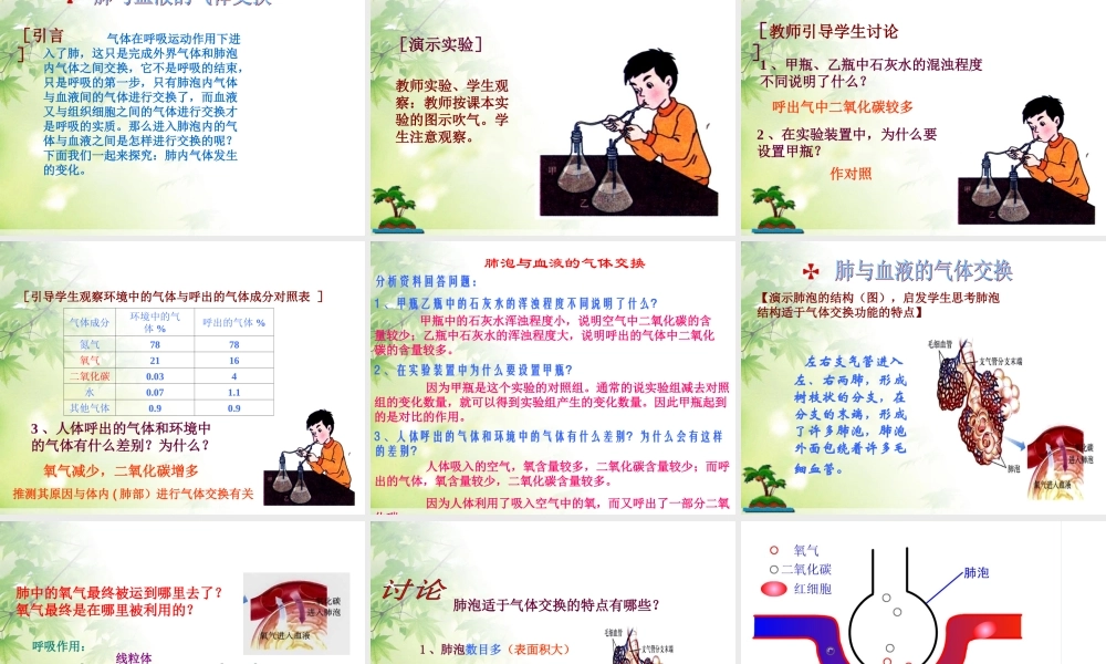 第三章__第二节__发生在肺内的气体交换.ppt