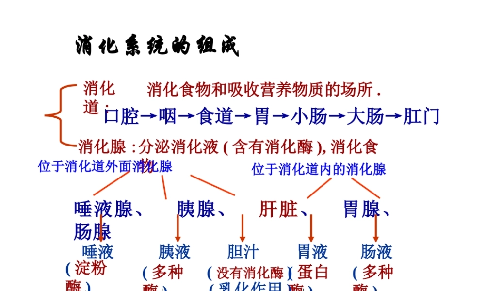 第三章第一节 呼吸道对空气的处理(最新人教版).ppt