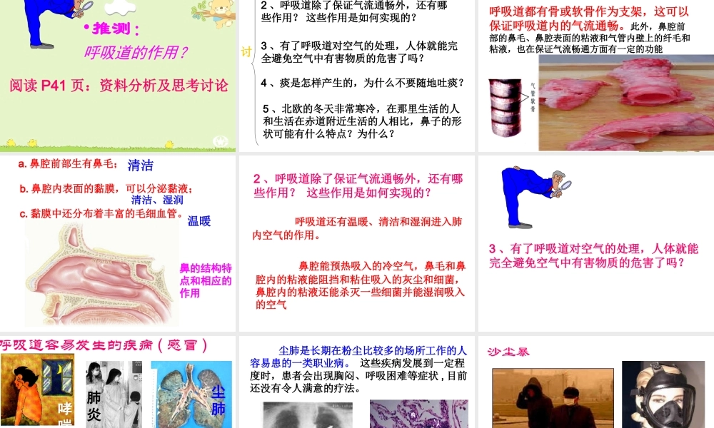 第三章第一节 呼吸道对空气的处理(最新人教版).ppt