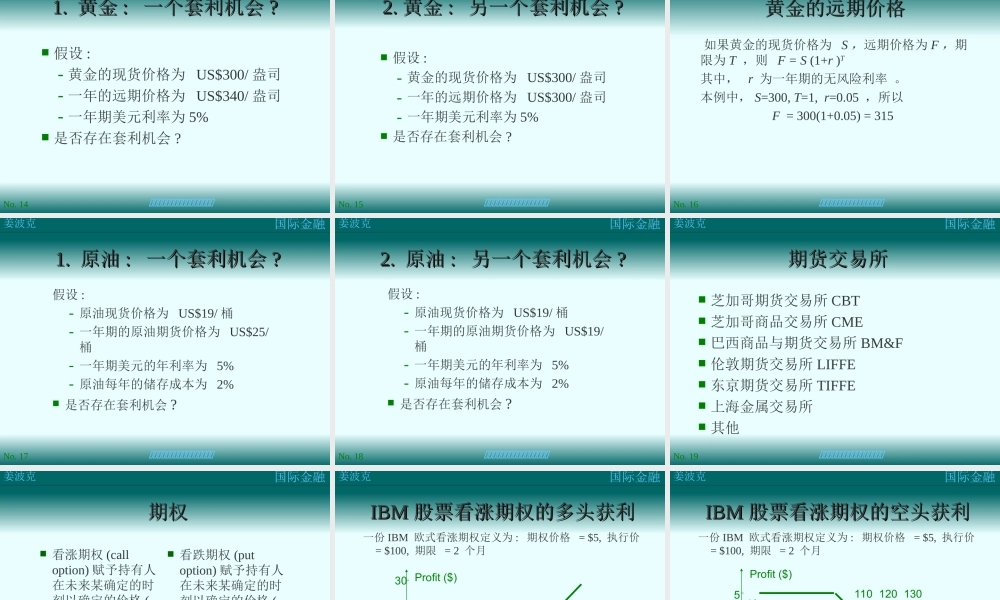 第十三讲：衍生证券(1).ppt