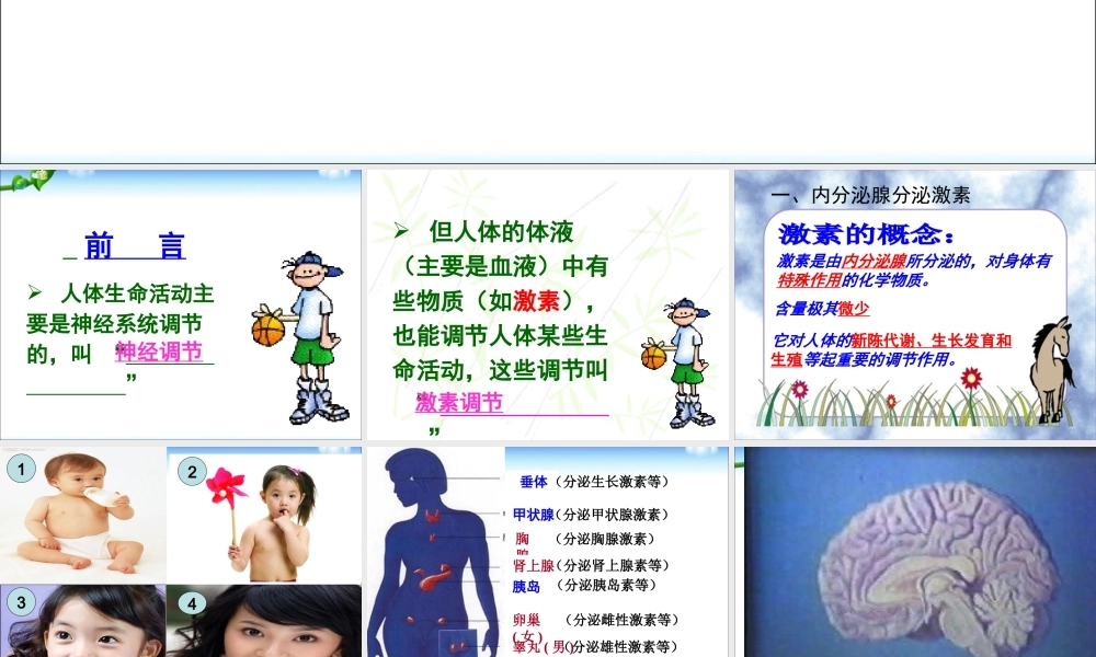 第四节_激素调节 (1).ppt