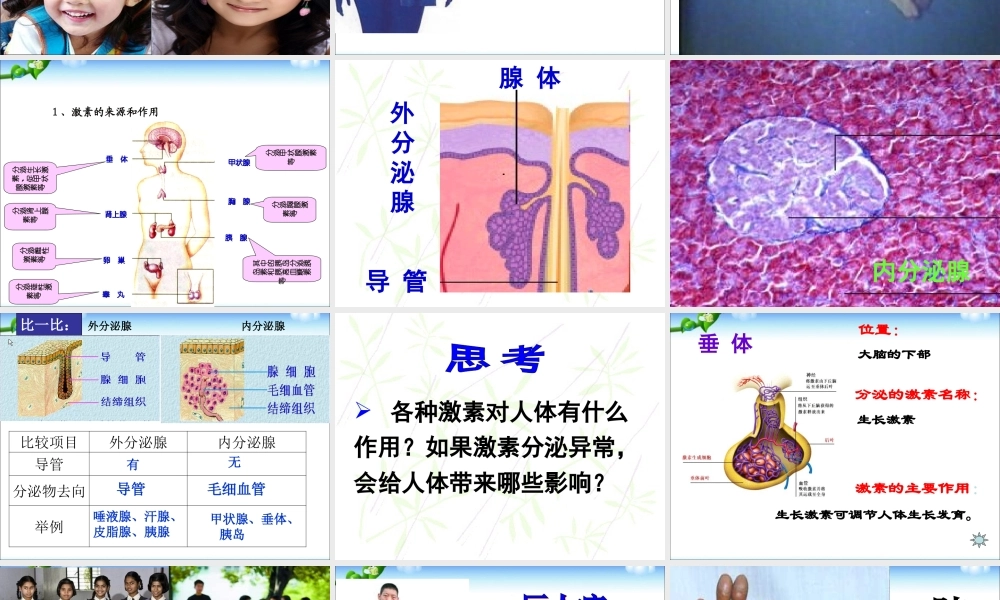 第四节_激素调节 (1).ppt