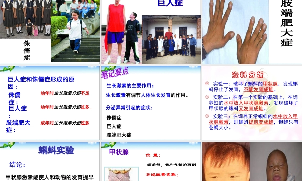 第四节_激素调节 (1).ppt