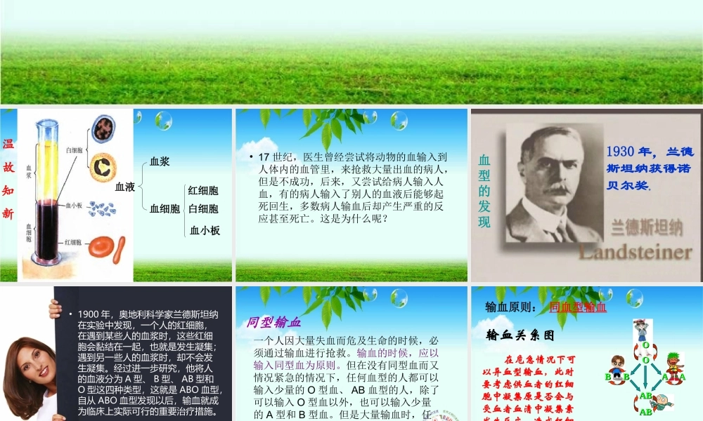 第四节---输血与血型.ppt