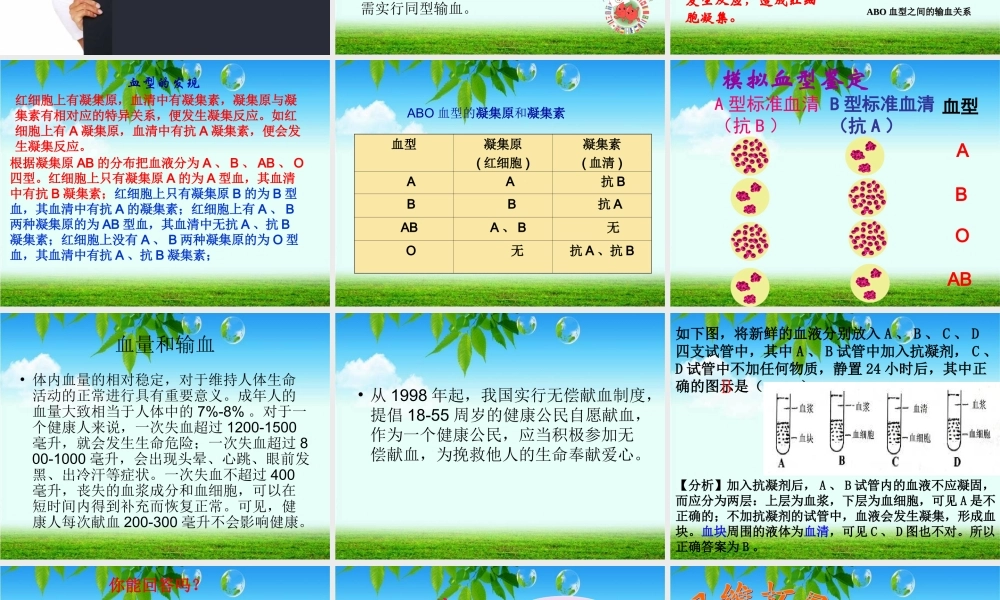 第四节---输血与血型.ppt