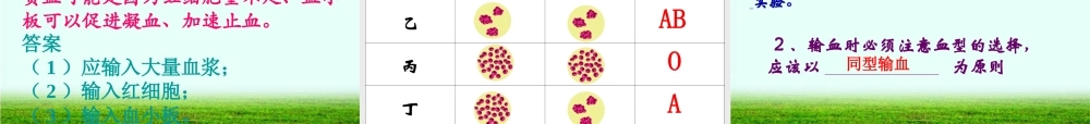 第四节---输血与血型.ppt