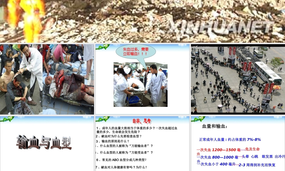 第四节输血与血型.ppt