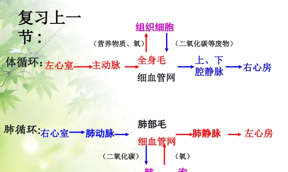 第四节-输血与血型-.ppt