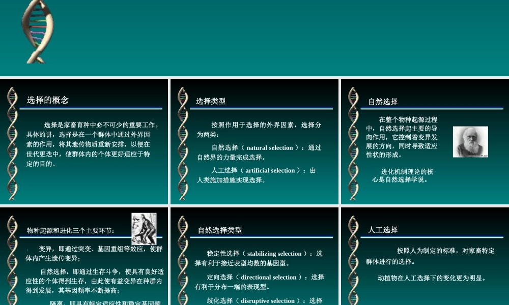 第四章选择的原理与方法.ppt